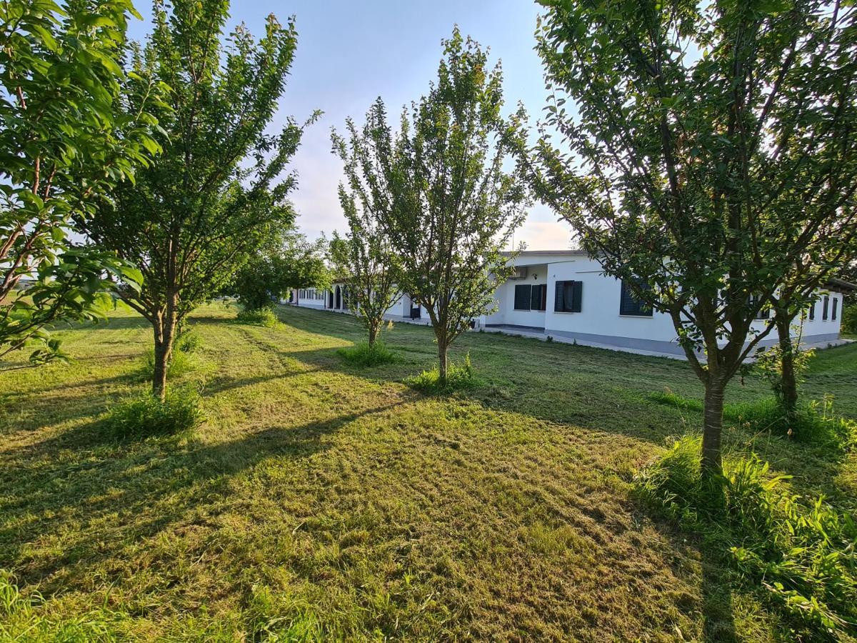 Agriturismo Ca Novak Venezia Villa Spinea Exterior photo